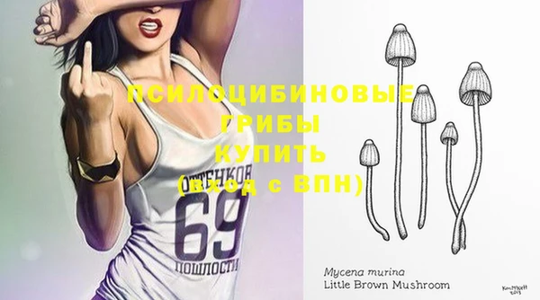 a pvp Дмитровск
