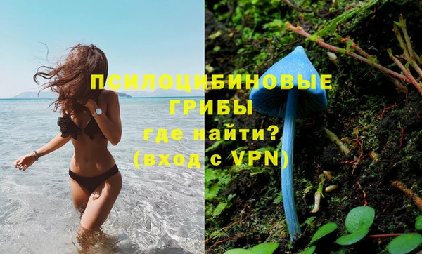 a pvp Дмитровск