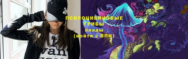 a pvp Дмитровск