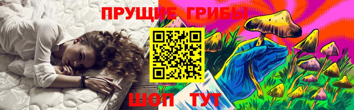 Галлюциногенные грибы Magic Shrooms  Вход с VPN  Донской  Галлюциногенные грибы Psilocybe 